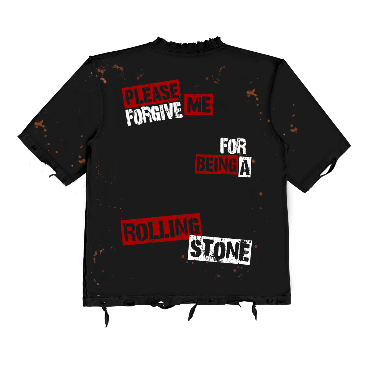 The Life of a Rolling Stone T-shirt by November Reine — product image