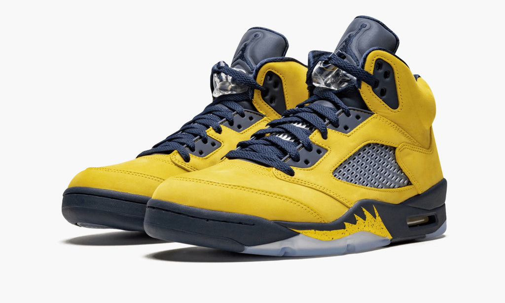 Michigan — Air Jordan 5 Retro SE