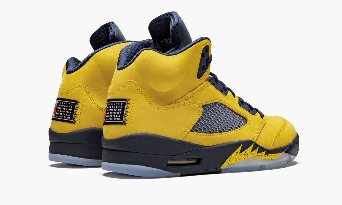 Michigan — Air Jordan 5 Retro SE