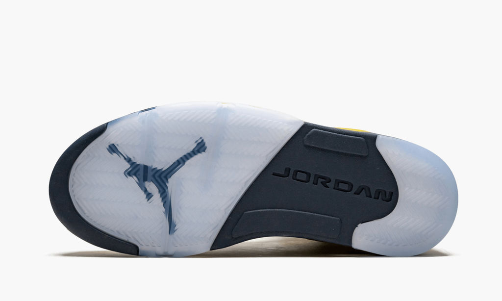 Michigan — Air Jordan 5 Retro SE