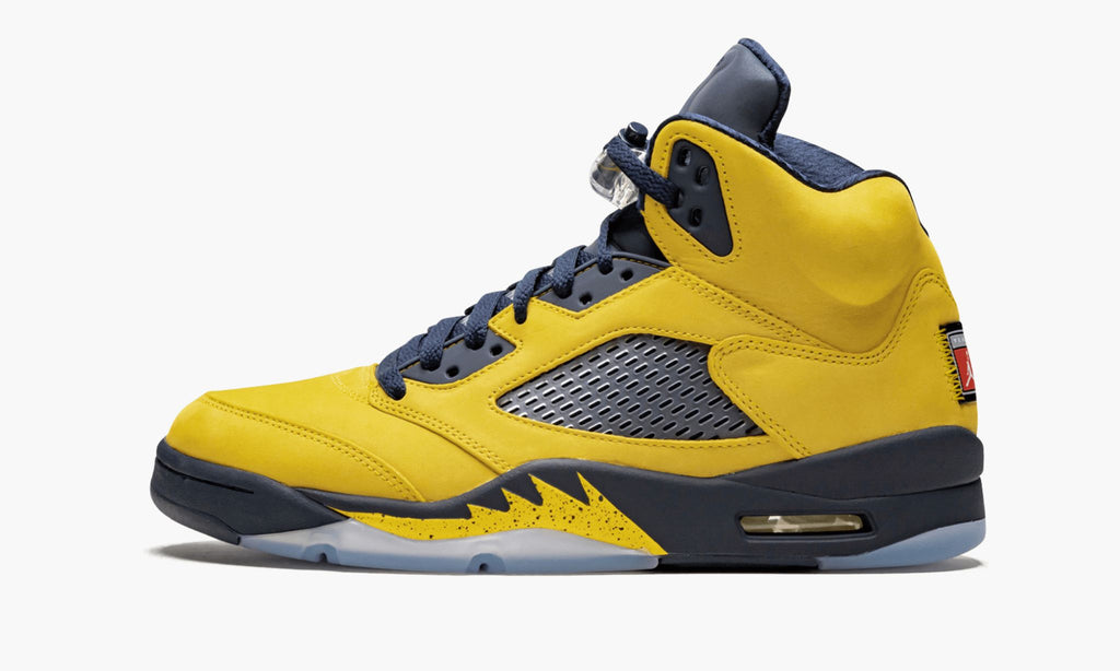 Michigan — Air Jordan 5 Retro SE