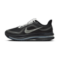 Black Metallic Silver — Nike Pegasus Premium SP IH4369-001