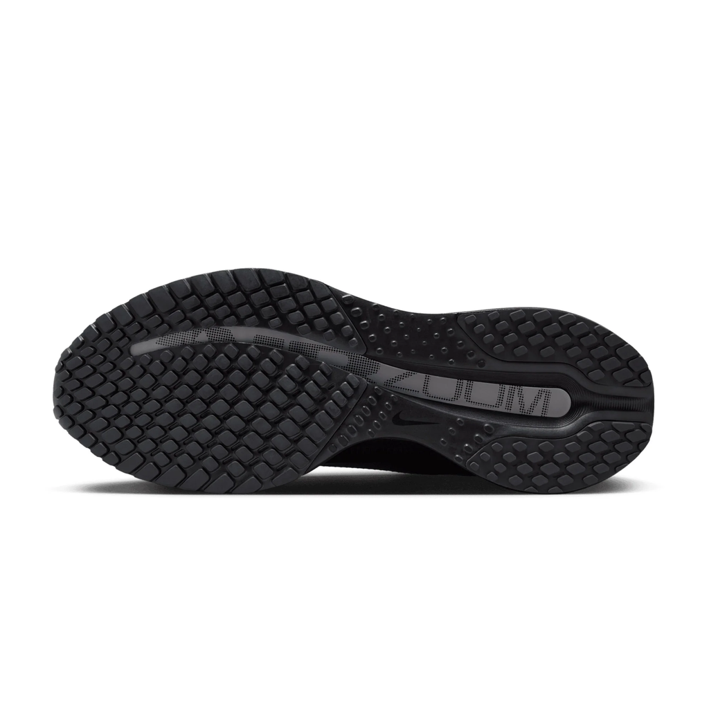 Black Metallic Silver — Nike Pegasus Premium SP IH4369-001