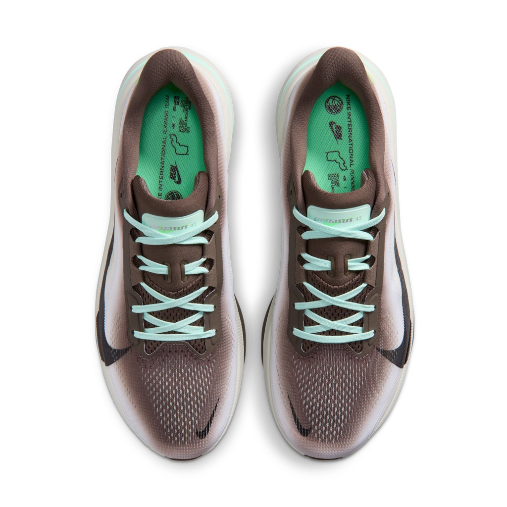 Ironstone Sea Glass — Nike Air Zoom Pegasus 42 IW2349-001