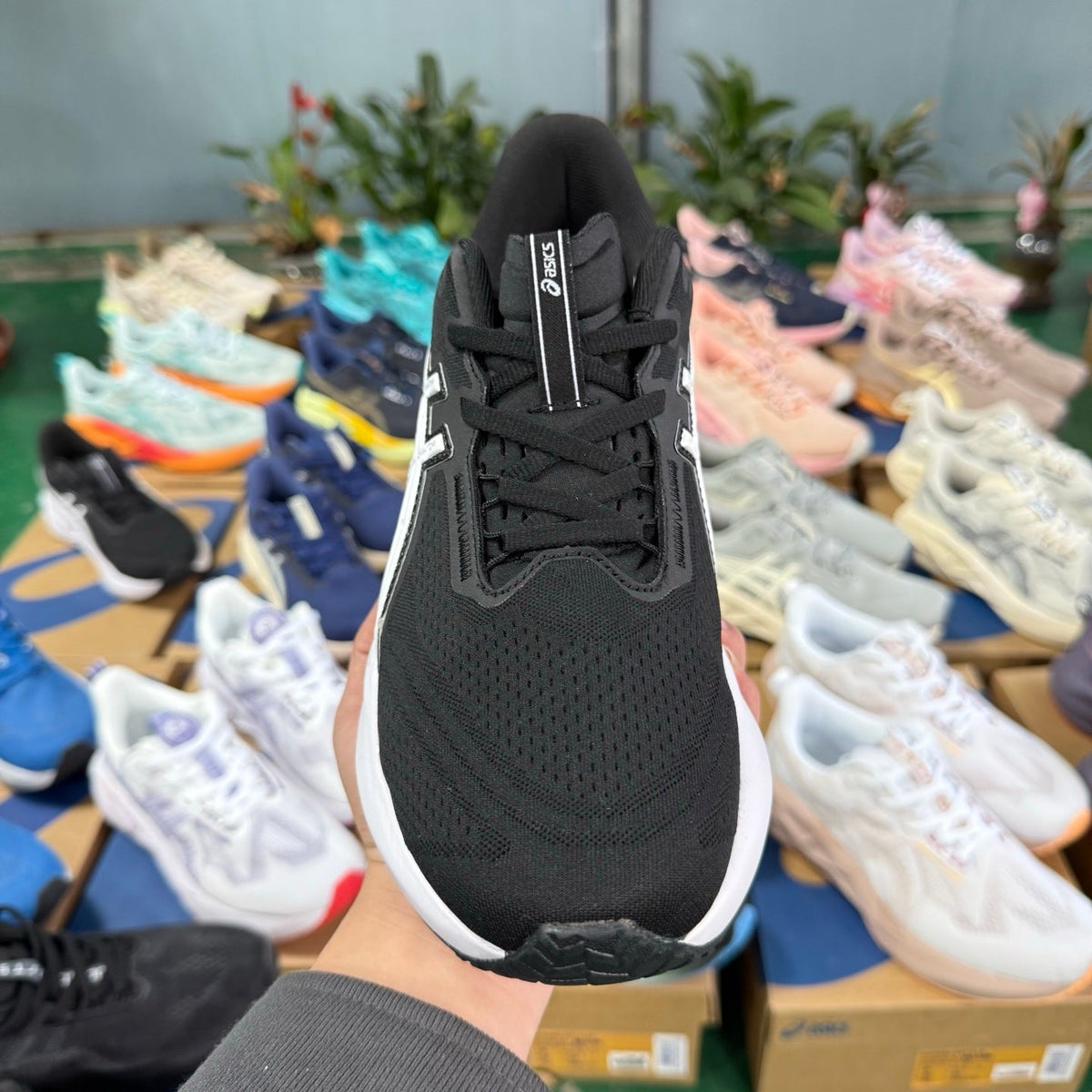 ASICS NOVABLAST 5 LE Running Shoes in Black and White - product image from the listing.