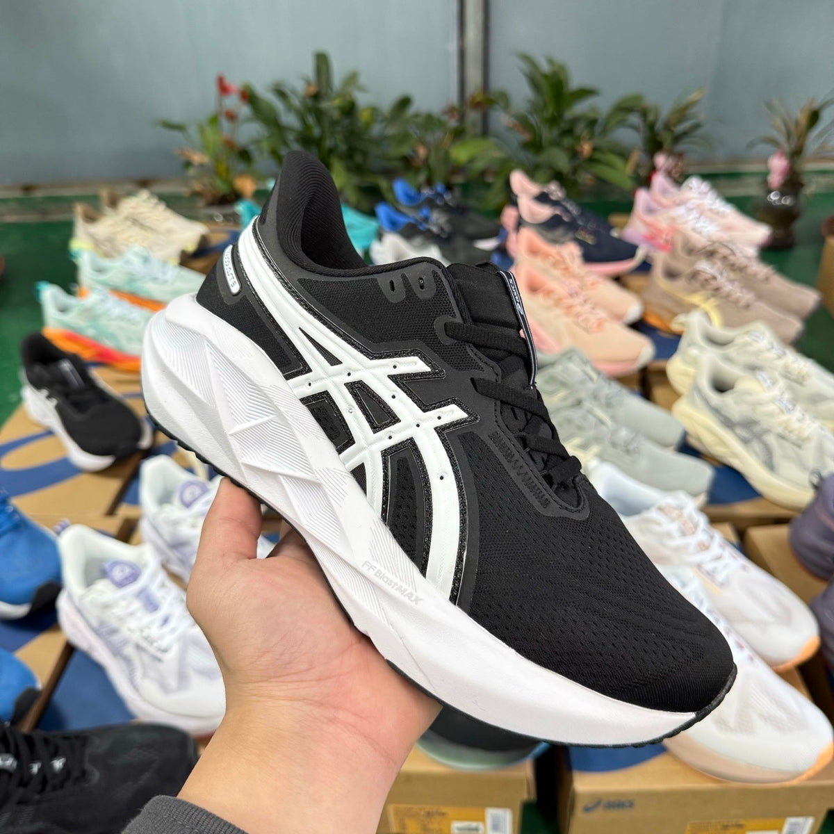 ASICS NOVABLAST 5 LE Running Shoes in Black and White - product image from the listing.