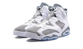 Cool Grey — Jordan 6 Retro